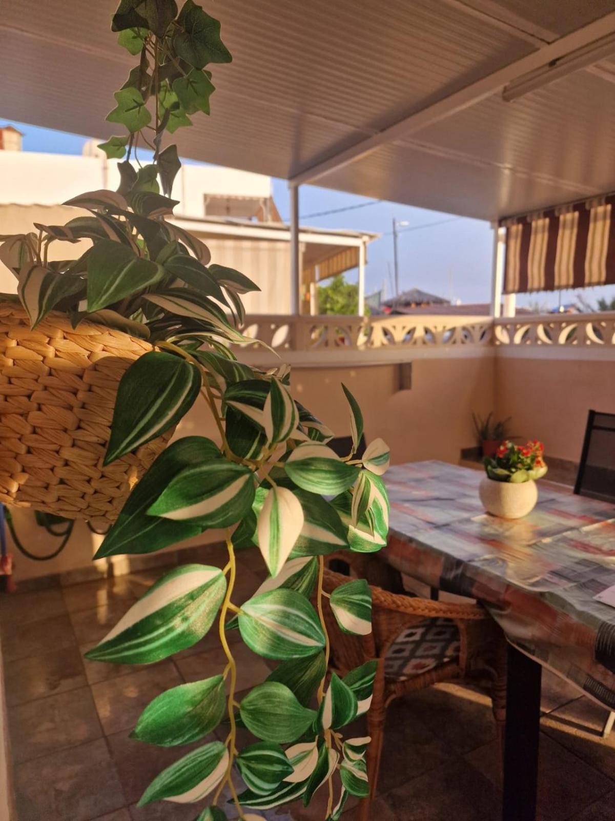 Lightbooking El Remo La Palma Экстерьер фото